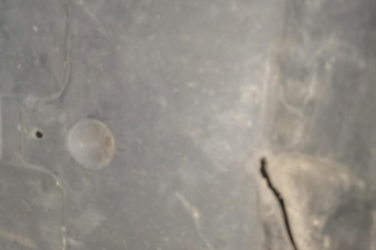 二手现代ix35 2012款 2.0L 自动两驱精英版GLS图片4