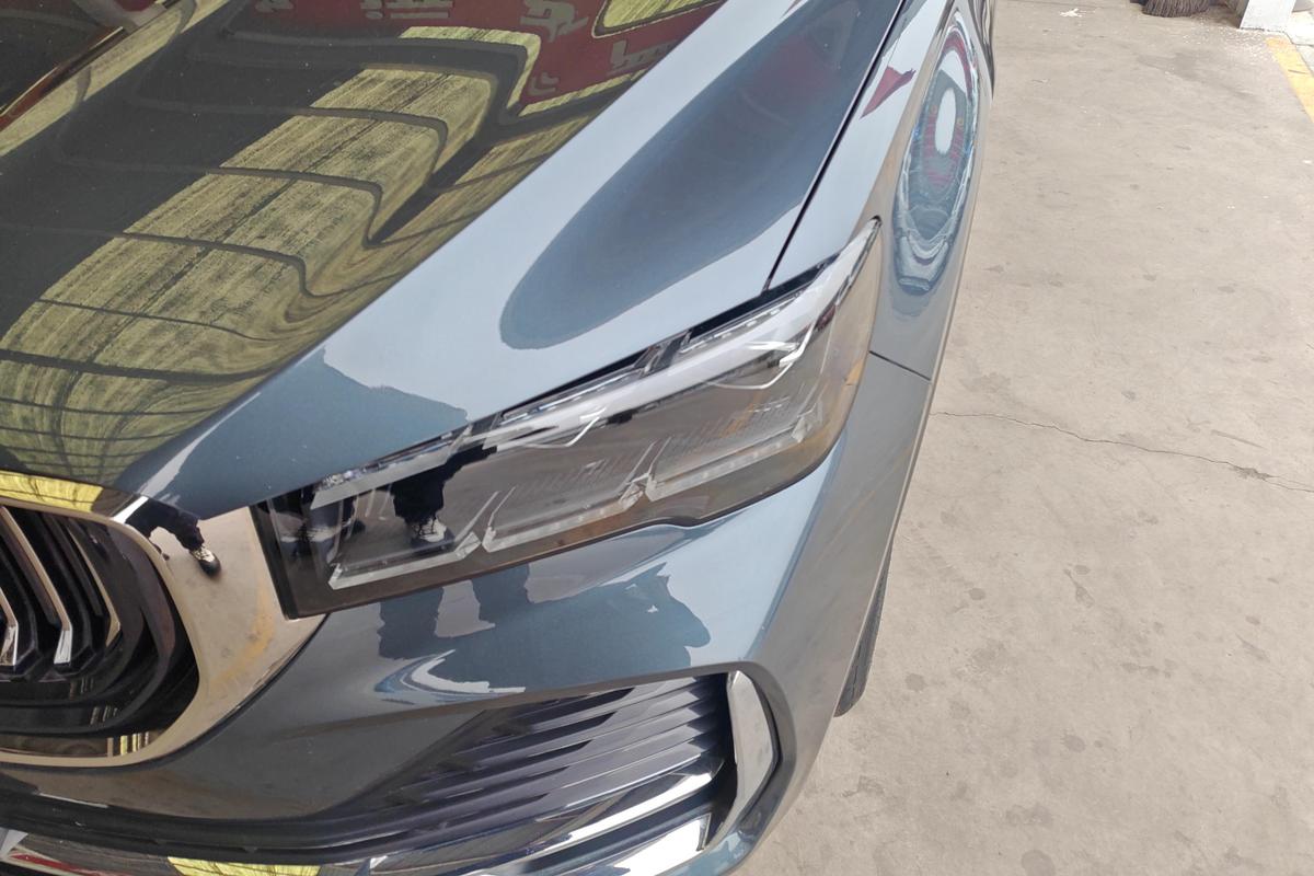 二手星越L 2021款 2.0TD DCT EVO两驱尊贵型图片2