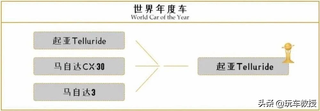BBA都哭了，2020年世界年度车竟然是起亚的Telluride图5
