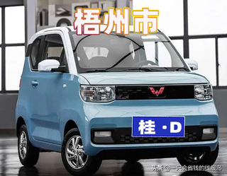 广西壮族自治区汽车牌照字母排序图5