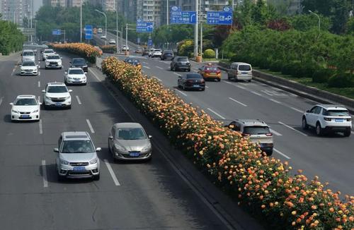 6月1日起，北京恢复机动车尾号限行