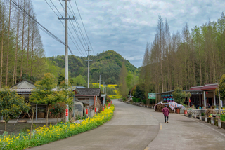 自驾“中国最美乡村公路” 赏花重庆路图17