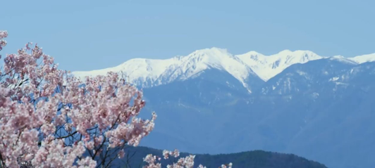 #自然风光# 长野县伊那市，是日本赏樱的最佳地点之一。视频1