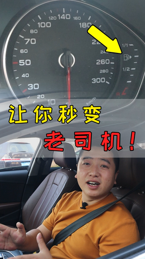 王先生与车视频23