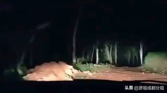 深夜男子驾车偏僻山路，行车记录仪记录下这样奇怪的一幕。视频1