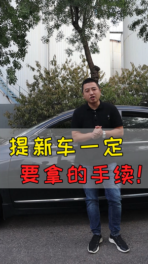 王先生与车视频30