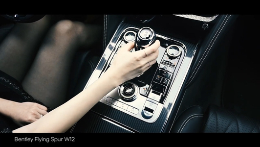 宾利新飞驰 W12 ASMR视频1