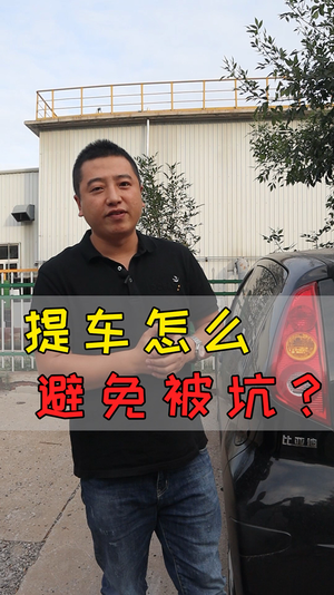 王先生与车视频27