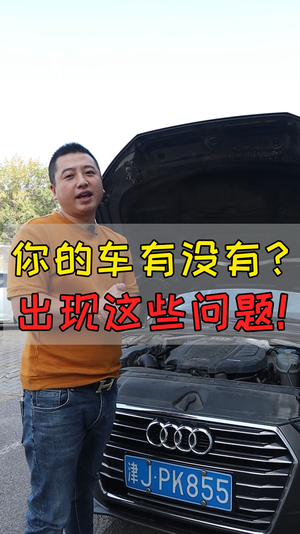 王先生与车视频25