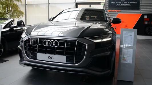 2019 Audi Q8 (超清)视频1