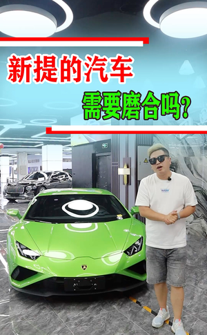 王先生与车视频3