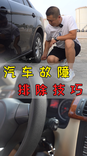 王先生与车视频45
