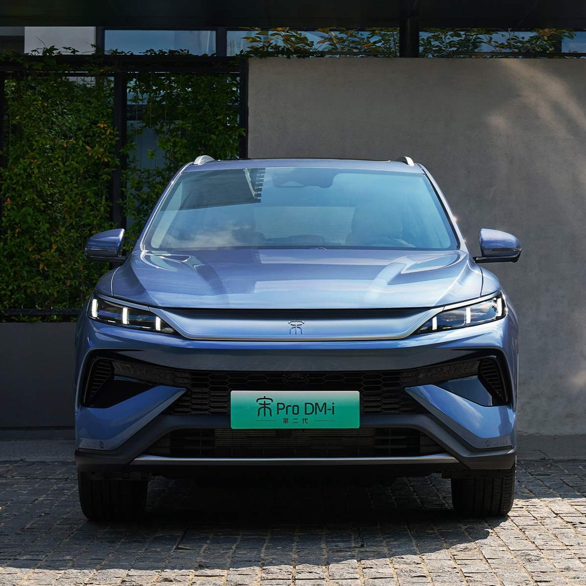 宋Pro DM只聊缺点话题封面图