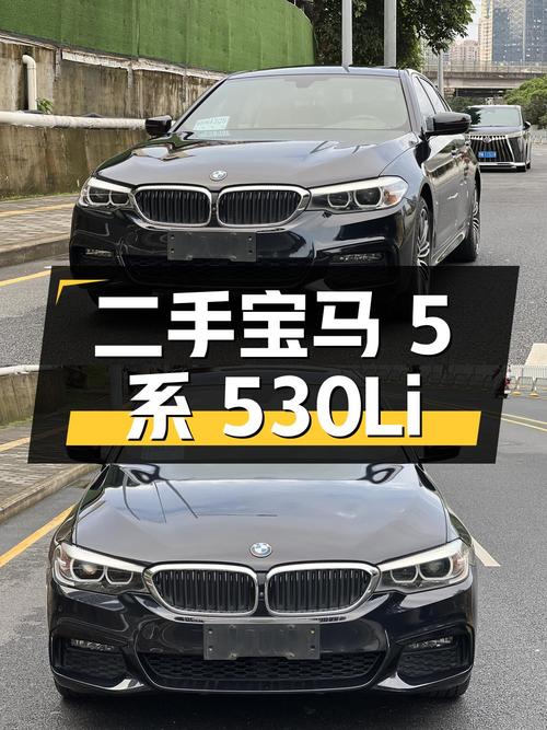 二手宝马 5 系 2019 款 530Li 领先型 M 运动套装
