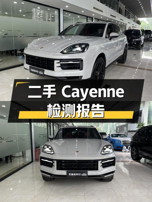 二手保时捷 Cayenne 检测报告