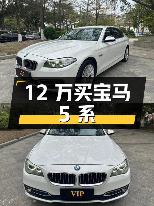12 万买宝马 5 系，2.0T 后驱豪华中大型轿车