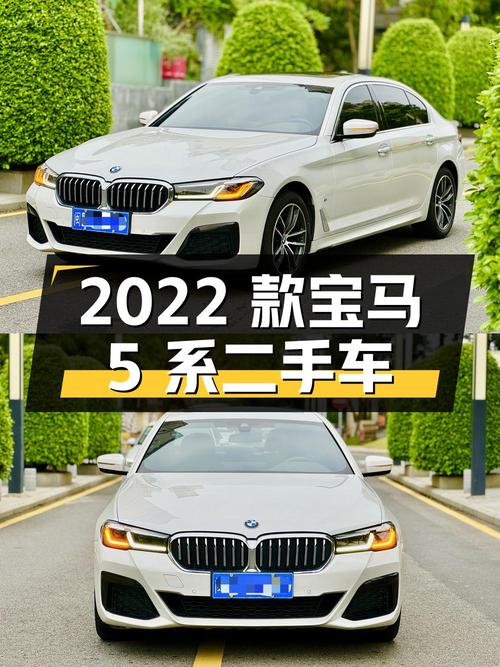 2022 款宝马 5 系 2.0T 二手车：价格、车况及配置详解