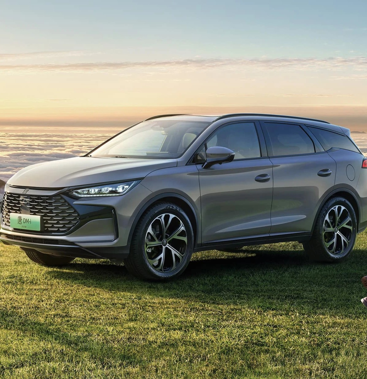 唐DM的小问题话题封面图