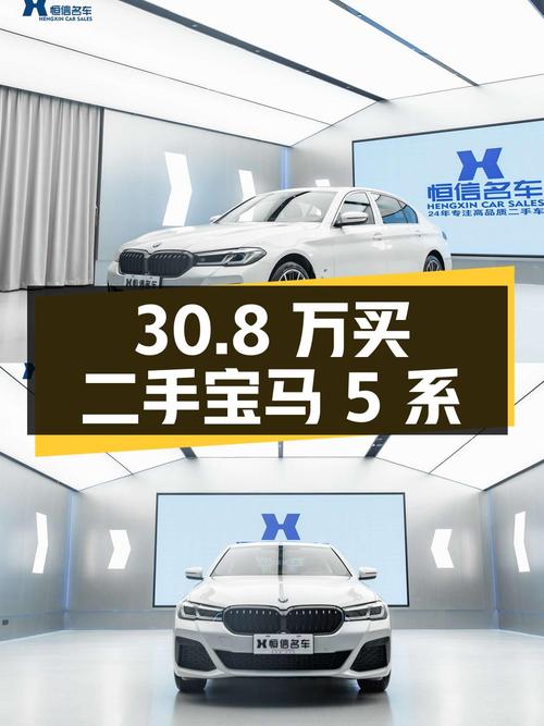 30.8 万买二手宝马 5 系，2.0T 配 8AT，养车成本一年 1.6 万