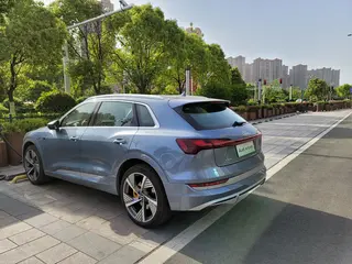 2021款奥迪e-tron 50 quattro 尊享型 图 1