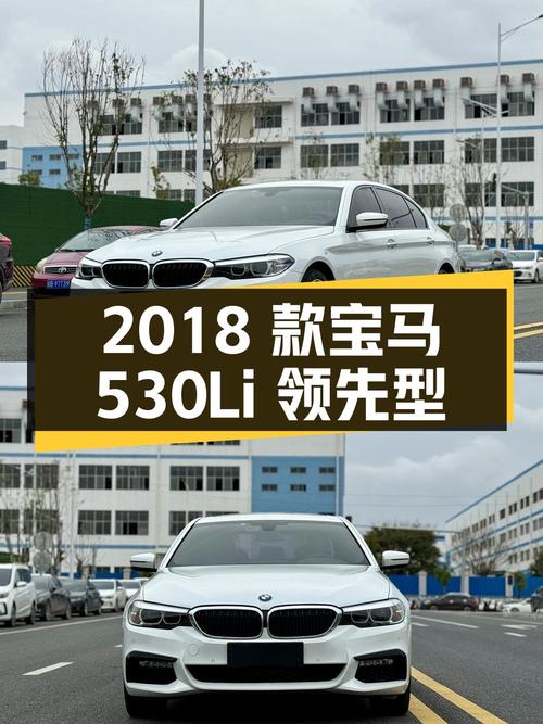 2018 款宝马 530Li 领先型豪华套装，11.8 万公里，21.88 万