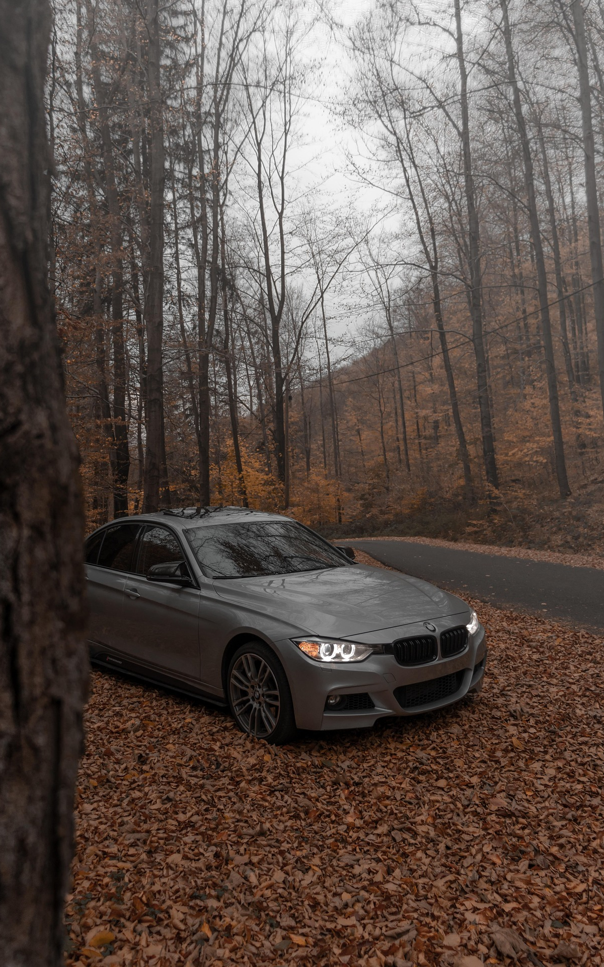 这个前脸有点特别话题封面图