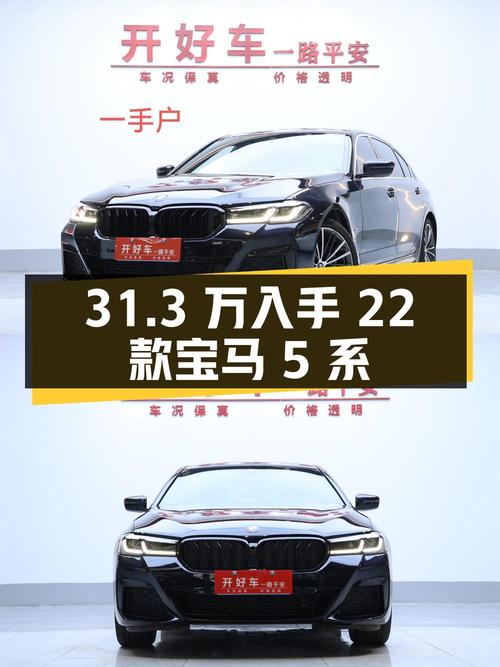 31.3万可入手 2022款宝马 5系，黑色4.2万公里