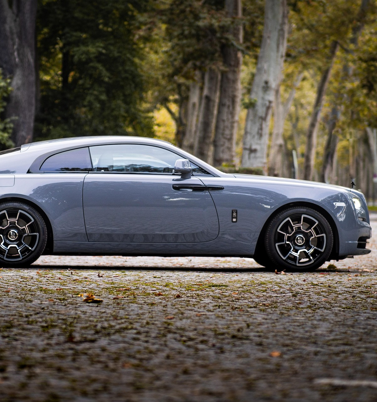 最佳角度是侧面话题封面图