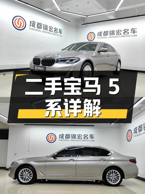 二手宝马 5 系 525Li 豪华套装版详解