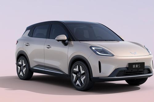 6.88万起真能成为爆款吗？五菱缤果S亮相并开启预售，你会买吗？