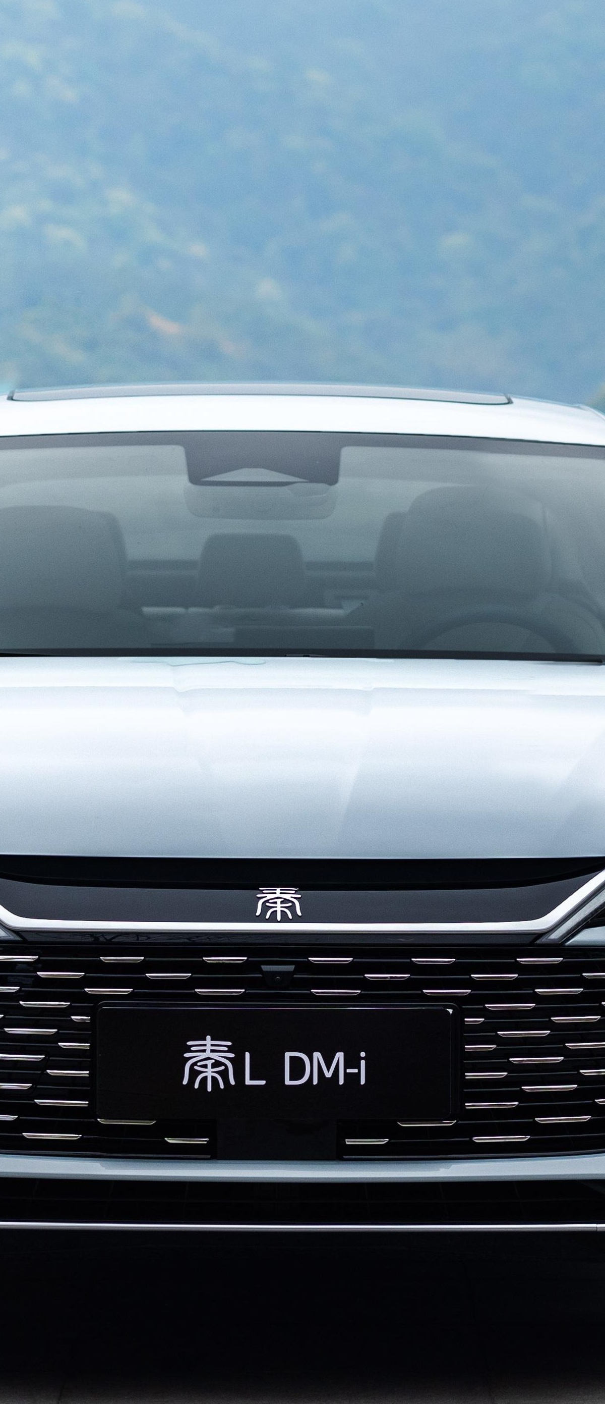 秦L DM能买吗话题封面图