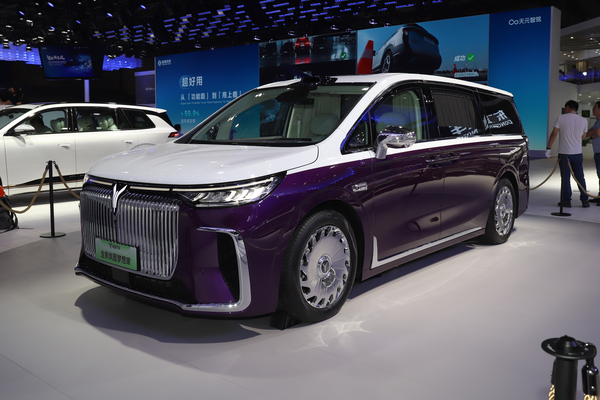 岚图梦想家 PHEV 2026款 山河整备质量(kg)_车身图