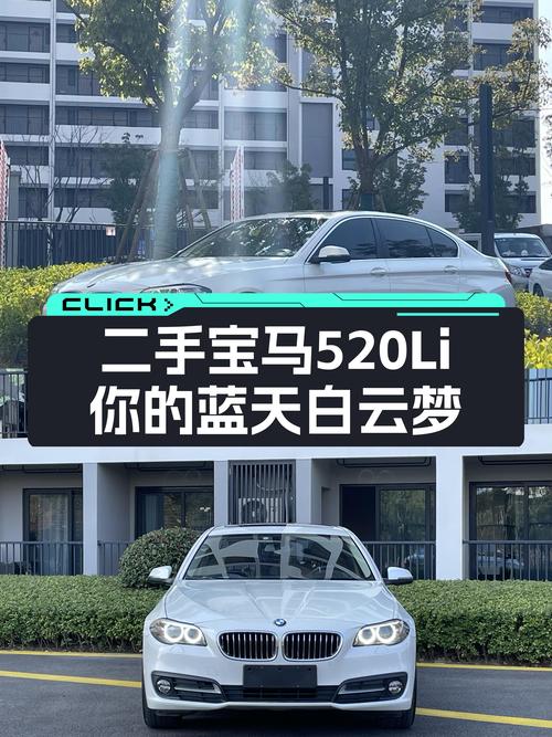 驾驭经典，尽享豪华——二手宝马520Li，10万圆你蓝天白云梦