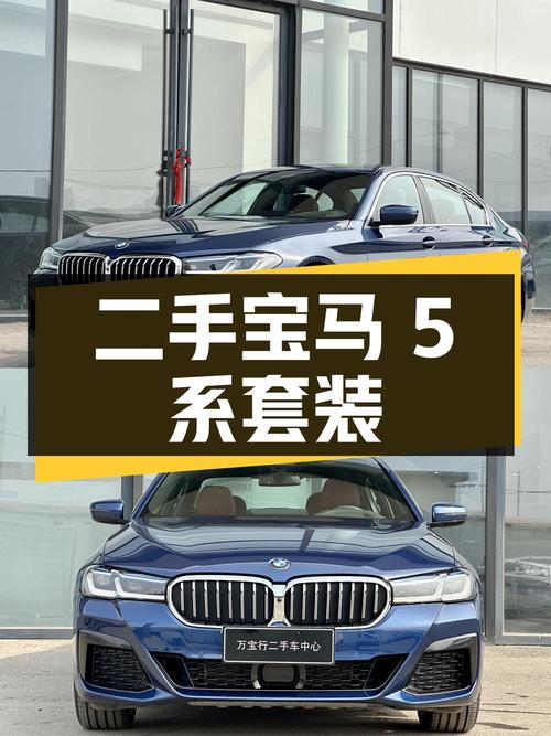 二手宝马 5 系 530Li 领先型豪华套装：性能与品质的完美结合