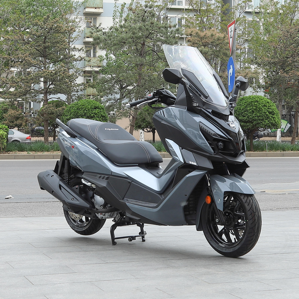 SYM三阳 CRUISYM α 2022款 标准版级别_基本信息图