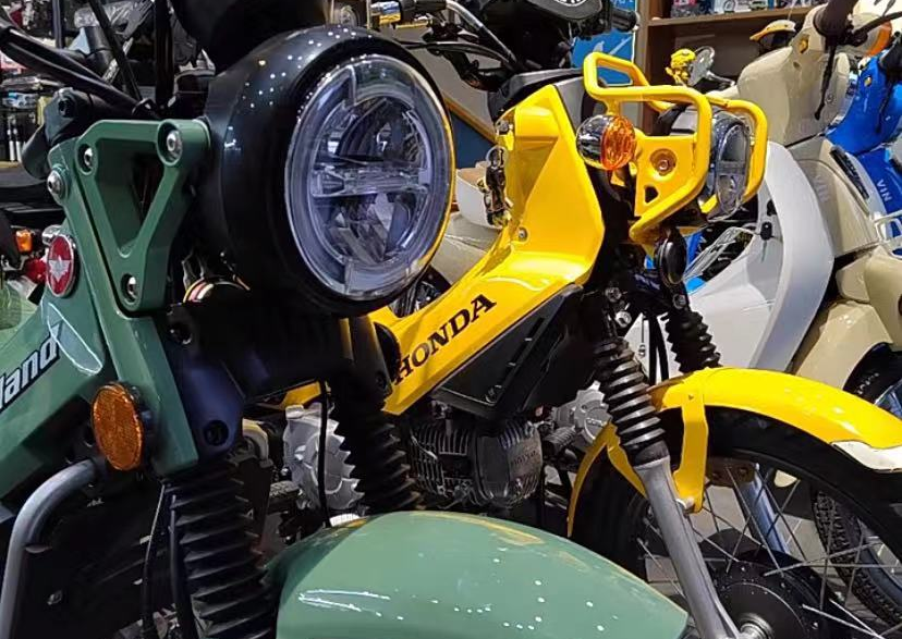 本田幼兽新车上市话题封面图