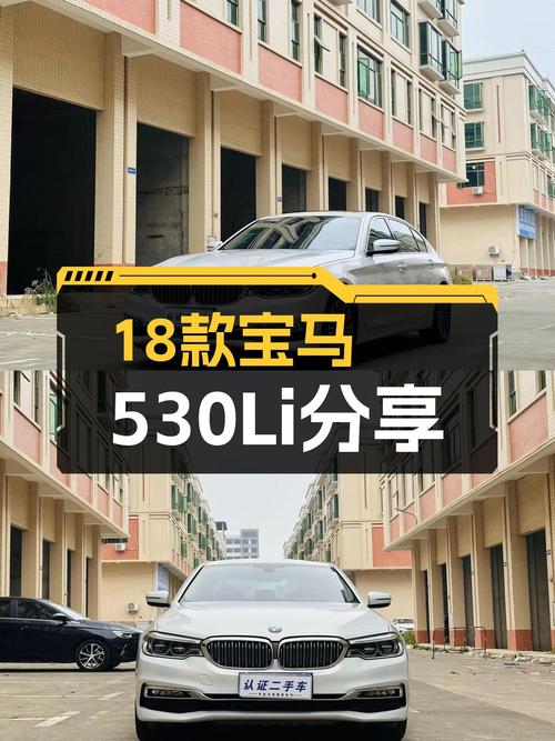 18款宝马530Li，不到20万圆你蓝天白云梦？