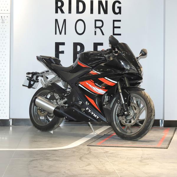 飞鹰 R 25 2021款 M标准版厂商_基本信息图