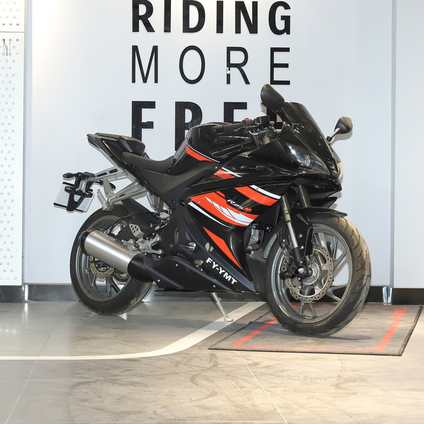 飞鹰 R 25 2021款 M高配版厂商_基本信息图