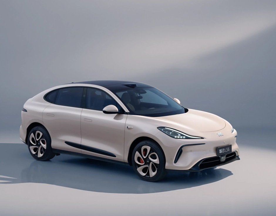 智己LS6只聊缺点话题封面图