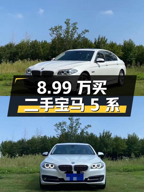 二手宝马 5 系 2014 款 520Li 典雅型：8.99 万的价格是否值得购买？