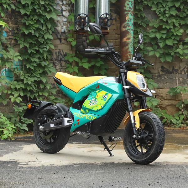 摩兽 Mino 2021款 21Ah版级别_基本信息图