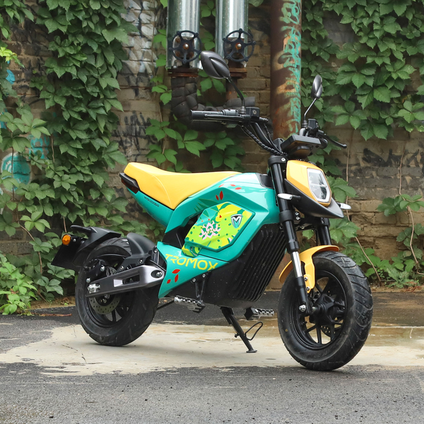 摩兽 Mino 2021款 31Ah版级别_基本信息图