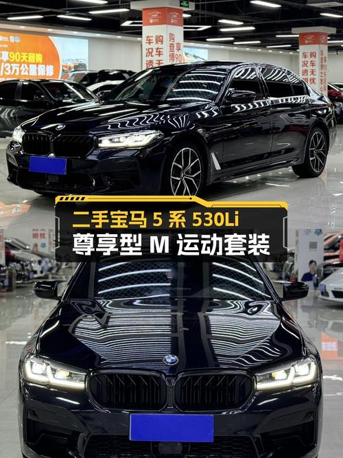 21年宝马 5系，6.6万公里，31.58万可入