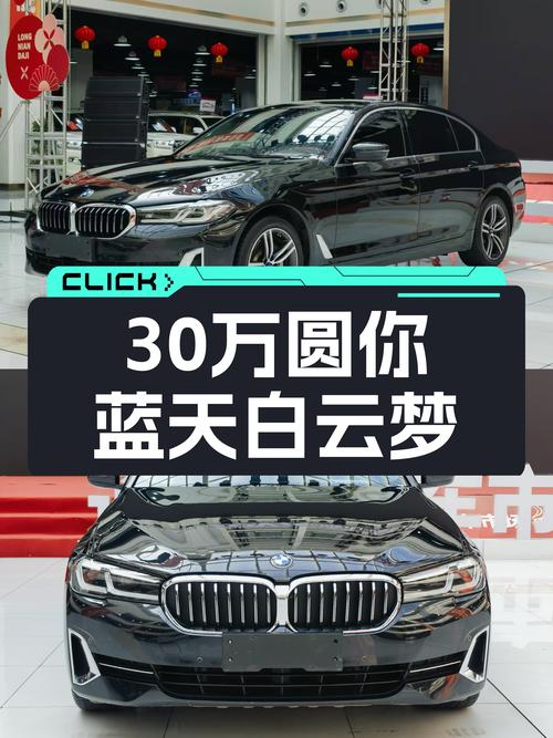 30万出头，圆你蓝天白云梦，体验行政级轿车——二手宝马5系