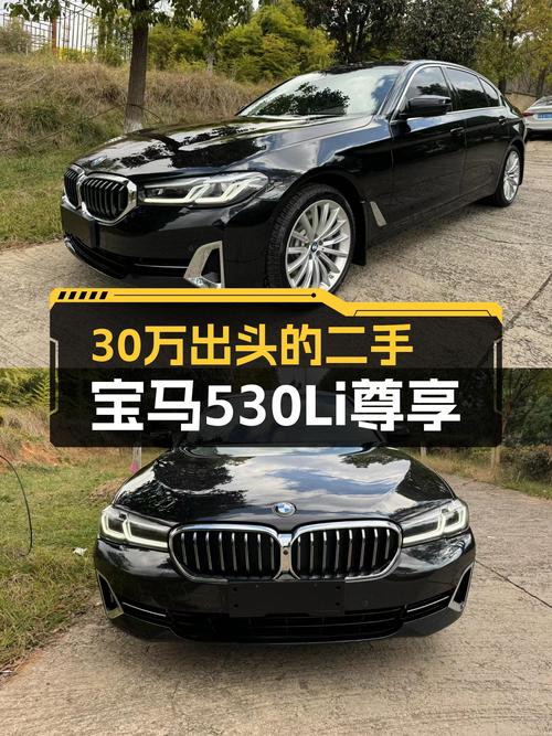 30万出头，宝马530Li尊享，7.47万公里，宜商宜家一手车