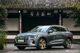 2021款奥迪e-tron 50 quattro 臻选型 图 1