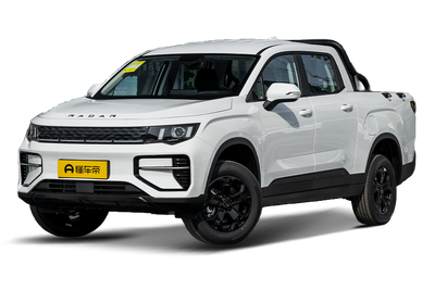 雷达金刚EV 2025款 310km 两驱长箱 招财金刚