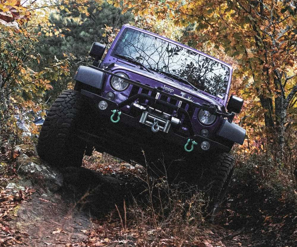 一人一条撒野路线话题封面图