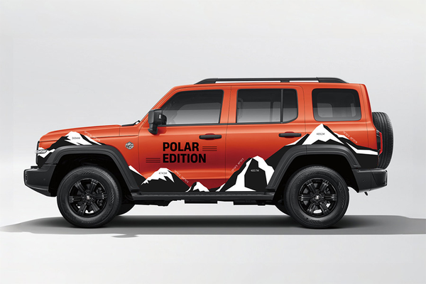 坦克300 2025款 2.4T 柴油极地版厂商_基本信息图